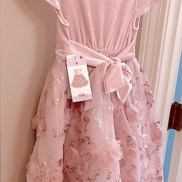 NWT BlueBeri Pink Layered dress, silver/gold accents, rows of flowers - Picture 2 of 11